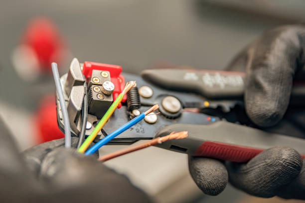 Best Electrical Repair Services  in Grand Meadow, MN
