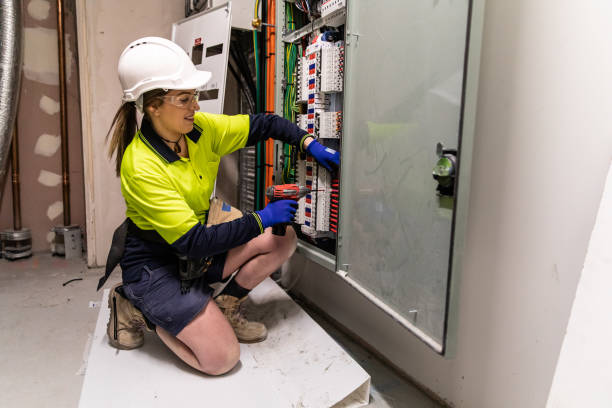 Best Affordable Electrician  in Grand Meadow, MN