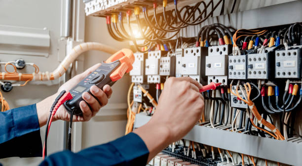 Best Ceiling Fan Installation Electrician  in Grand Meadow, MN