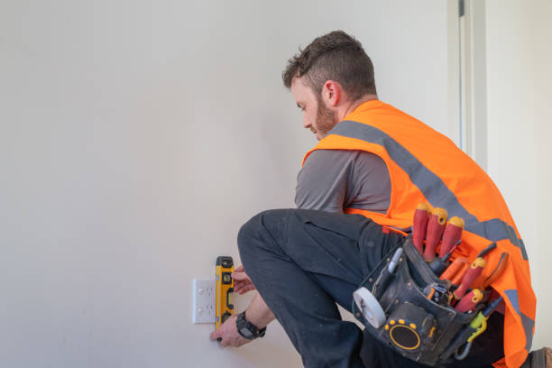 Best Electric Panel Repair  in Grand Meadow, MN