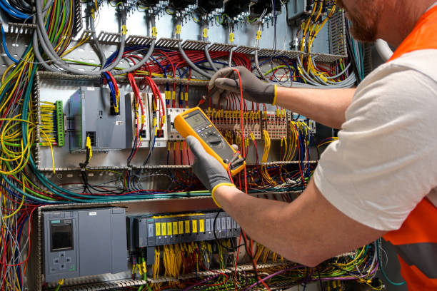 Best Local Electrician Companies  in Grand Meadow, MN
